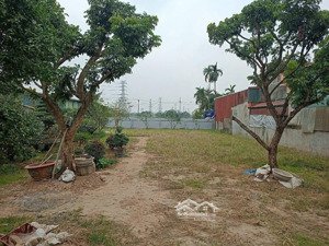 song phương 1008m2 đất 50 năm chính chủ cần bán