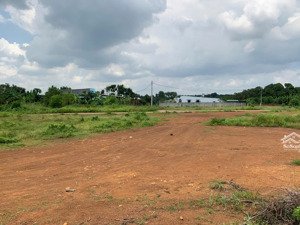 chính chủ bán 2 sổ (10x42=420m2) 200tc shr ngay chợ thanh lương bình long ql13 vào 5p chỉ 290triệu