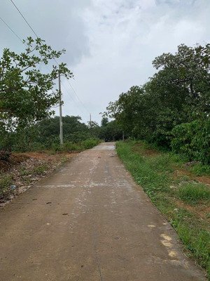 bán đất view đẹp tại phú trung, phú riềng - 7,6 tỷ, 19500 m2