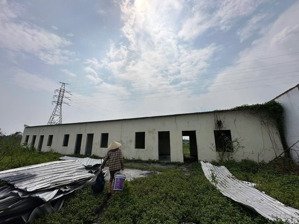 cần bán đất thuỷ triều thuỷ nguyên