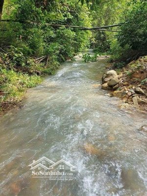 môt lô đất rẻ , đẹp nhất vân hòa , yên bài , ba vì , hà nội , đất bám suối vài chục m