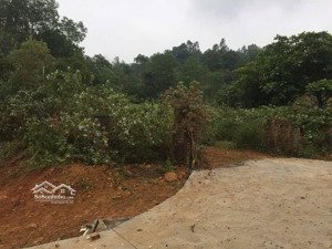 lô đất nghỉ dưỡng đẹp tại yên bài , ba vì , hà nôi, giá tốt nhất cho các nhà đầu tư