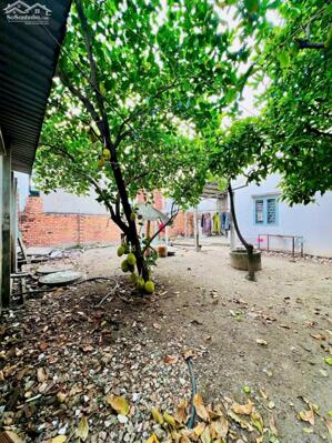 BÁN GẤP NHÀ BÀ ĐIỂM, HÓC MÔN-328M2, NGANG 8.3M, NỞ HẬU, HẺM XE HƠI GẦN MT GIÁ CHỈ 8 TỶ 