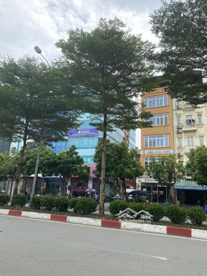 hiếm- độc đắc- 100m, mặt tiền 6m, trần thái tông, cầu giấy, 66.8 tỷ