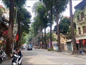 mặt phố lò đúc 8 tầng thang máy nhà mới dt : 98m x 8 tầng x mt 7 m giá chỉ 60 tỷ