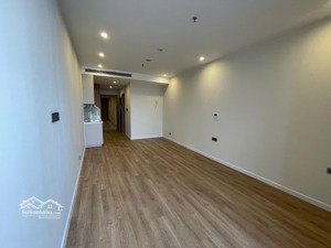 bán gấp căn hộ studio 1ty3xx đã nhận nhà vào cbi nội thất là ở ạ 