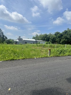 bán đất chính chủ có 60m thổ cư