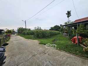 tôi cần bán 1000m2 2 mặt đường 5m . thôn la châu hòa khương