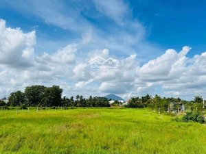 chính chủ cần tiền mở trung tâm du học đức,nên cần sang lại lô đất vàng p1, tp. tây ninh, tây ninh.