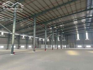 CHO THUÊ KHO XƯỞNG ĐƯỜNG QUỐC LÔ 1A . TÂN AN . TỈNH TÂY NINH ( LONG AN CỦ )
