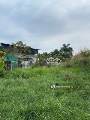 cần tiền chạy chữa bán xã long hậu, cần giuộc, long an, 108m2, 700 triệu