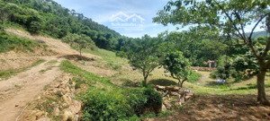 cần bán nhanh khu đất siêu đẹp siêu hiếm tại lương sơn hòa bình 16.430m2