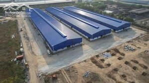 Cho thuê kho xưởng 9800m2 KCN Phú Mỹ 1, Phú Mỹ, BRVT, kho xưởng ngay cảng Cái Mép Thị Vải