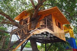 định quán, đất vườn giáp suối, sẵn cây trái gần ql20, gần hồ trị an chỉ 890 triệu