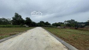 bán đất bình yên, tân xã giá rẻ pháp lý sạch vị trí tiềm năng