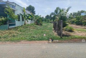 bán đất mặt tiền đường tỉnh 826b, xã tân lân, huyện cần đước, long an
