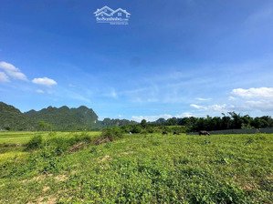 chủ nhờ bán đất tổng hơn 3000m2 có 500m2 thổ cư
