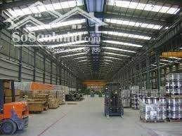 Cho Thuê Nhà Xưởng 6000m2 Mới Xây Dựng Phù Hợp Sản Xuất Tại Long An