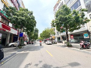 mp trương công giai 90/100m. 7 tầng, mt 5,9m. vỉa hè, thang máy, kd tốt. 67 tỷ