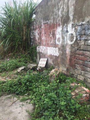 bán đất mặt đường minh khai, phường hà phong, thành phố hạ long, quảng ninh