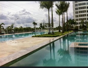 bán gấp cc phú hoảng anh, 132 m2, 1 ở khách , 1 p làm việc , 3 pn, 3 toilet , gia s4,8 tỷ