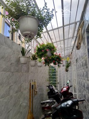 chdv đường cách mạng tháng tám phường 5, tân bình, tp.hcm - 52 m2 - 5 tầng btct