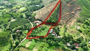 bán đất đt 301, 10,3 tỷ, 4520m2 tại ngọc thanh, phúc yên, vĩnh phúc hàng hiếm