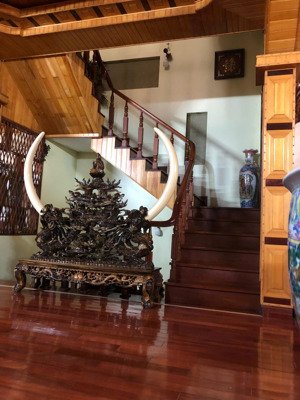 biệt thự kđt vĩnh hoàng, view hồ lộng gió, dt 220m, 5 tầng mặt tiền 12m, vỉa hè rộng như sân bóng