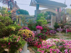 bán biệt thự 4pn, 1wc tại nghĩa dũng, quảng ngãi, 4 tỷ, 1000m2