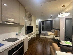 căn hộ studio vinhomes smart city - view đẹp, giá hấp dẫn