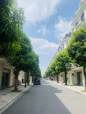 hàng hot sao biển 58,5m2 mặt tiền 4,5m, hướng đông bắc, giá 8.65tỷ bp. giá hơn 140tr/m2, vị trí đẹp