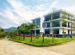 rolling hill yên bài dinh thự giữa rừng phong vị trí kim cương: trên trục đường yên bài