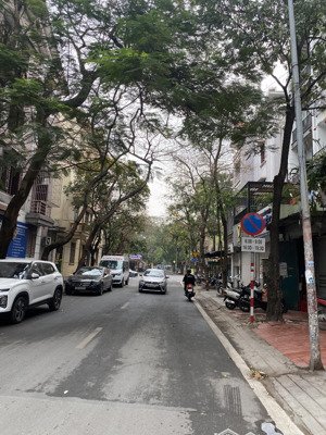 phong cách tân cổ điển , đẹp , sang trọng. bán nhà phố tân mai 90m x 5tầng x mt5,2m