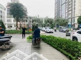 cho thuê nhà mặt phố đường mỹ đình, dt 110m2 x 4 tầng, mt 6m, phù hợp siêu thị phòng khám spa salon