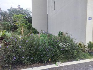 đất nam hồng 60m2. lô góc 2 mặt tiền chỉ 3.8 tỷ đất đẹp vuông vắn
