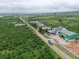 chỉ 450 triệu có ngay gần 100m2 thổ cư gần đà lạt bao sổ, ô tô tới cửa!