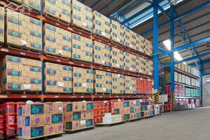 Cho thuê kho Sóng Thần 1 – Diện tích linh hoạt, giá cực tốt