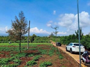 đất ngộp bán gấp 9m mặt tiền 599tr không thương lượng