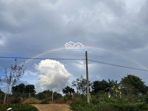 mình cần bán vài lô đất gần đà lạt. đất view sông, săn mây, sầu riêng 9 năm, cafe, 931triệu/lô