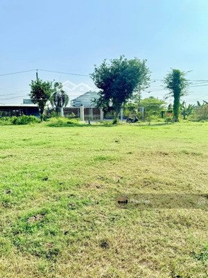 đất đẹp đối diện chợ phường 7, đường số 2, dt 120m2/ 700 triệu, full thổ. đất phường 7, bến tre.