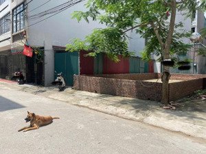 chính chủ bán đất phân lô phạm khắc quảng giang biên 73m2 mt 5m ôtô vỉa hè thẳng tắp gần công viên