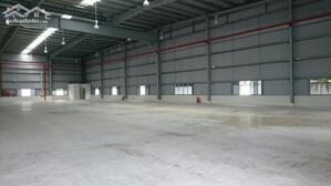 Cho thuê xưởng 550m2 KCN Nhơn Trạch 2, Huyện Nhơn Trạch, Đồng Nai