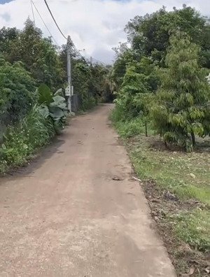 bán 534m2 ,p xuân lập đồng nai,trên đất trồng sr giá đầu tư