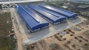 Cho thuê xưởng 9800m2 KCN Phú Mỹ 1, Phú Mỹ, BRVT