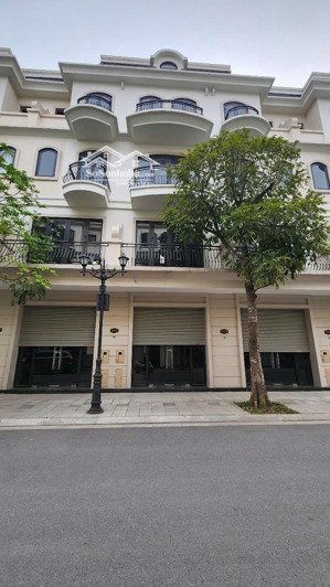 sao biển 58,5 đã có sổ gần vincom và vườn hoa vinomes ocean park 2 - 8,6 tỷ