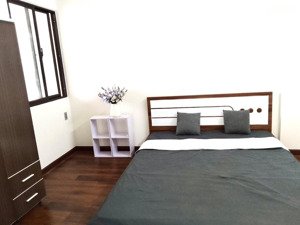 chính chủ cho thuê căn hộ 51m2, full nội thất ehome souhtgate khu đô thị waterpoint nam long