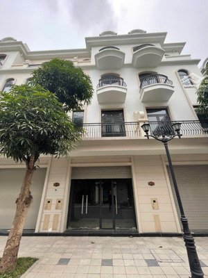 sao biển 58,5m2 mặt tiền 4,5m, hướng đông bắc, giá 8.65 tỷ bp. giá chỉ hơn 140tr/m2, vị trí đẹp