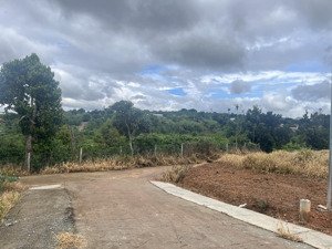 gia lâm ven đà lạt lô góc 2 mặt tiền siêu đẹp! view ôm quanh là đồi thông