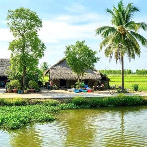 chính chủ cần bán full thổ cư đất xã bình khánh lh 