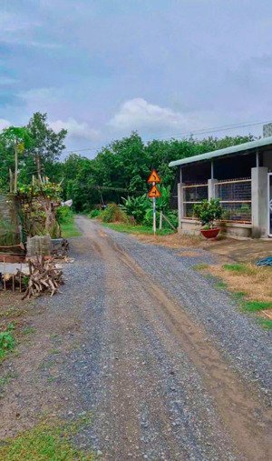 đất ngộp ngang 11 dài 48 thổ cư đường 6m shr 890tr sát nhựa cây da nhà
dân đông đúc